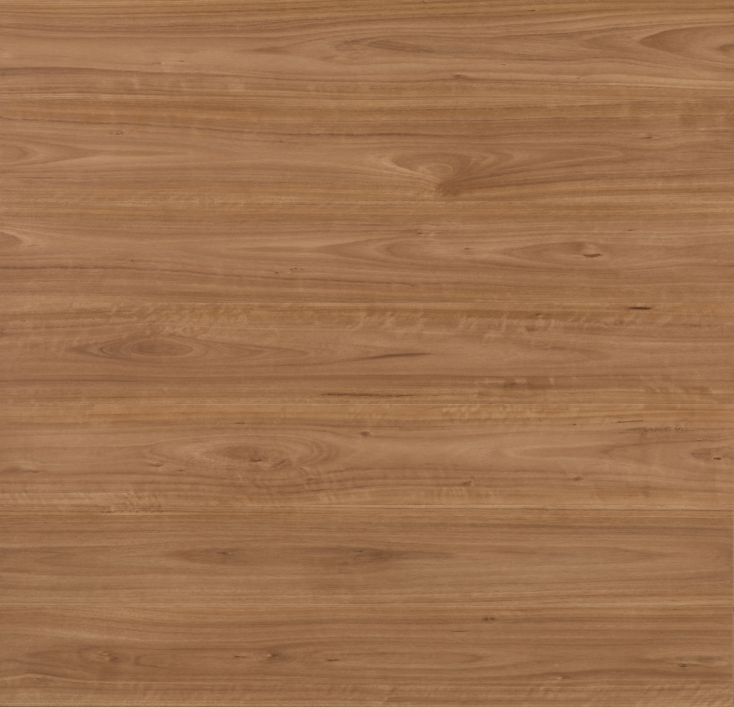 Polaris-1200_790-Iron-Spotted-Gum_DTN906