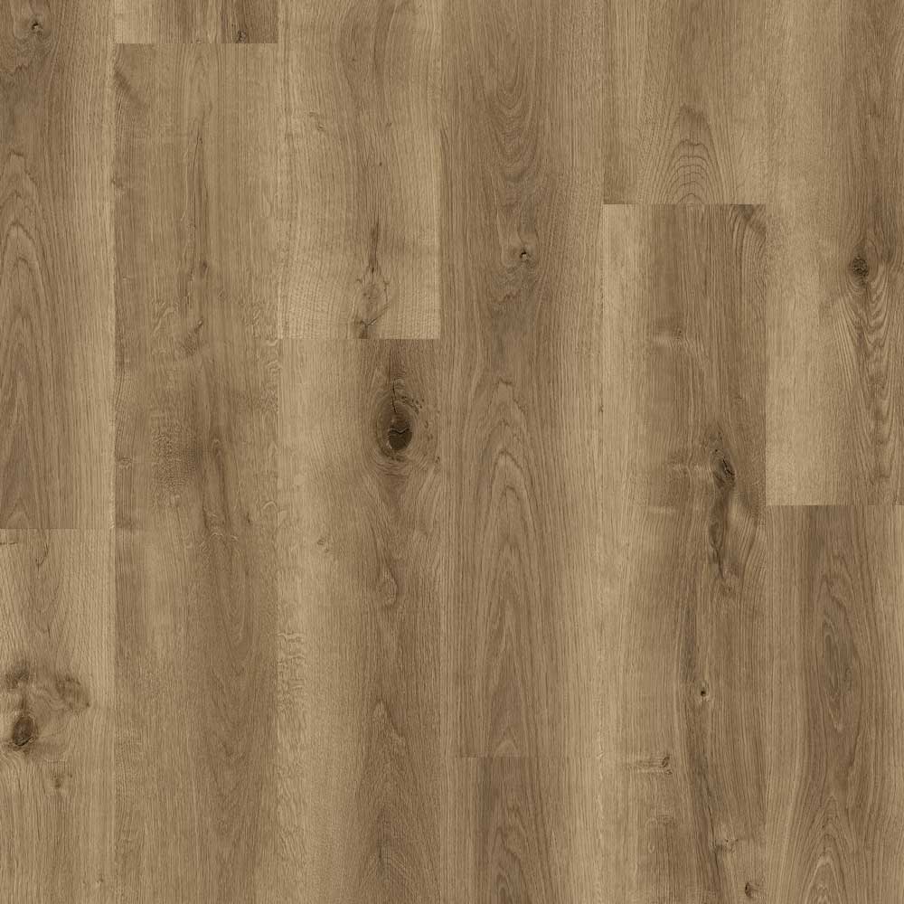 Polaris-1200_790-Iron-Spotted-Gum_DTN906